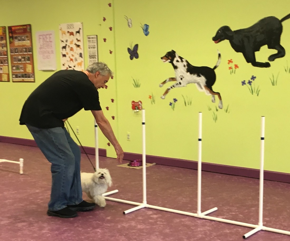 Fun with Fido - Trust & Obey Pawsitive Dog Training - Fun_with_Fido1
