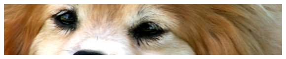 Blog - Trust Obey Pawsitive Dog Training 2021 - blog